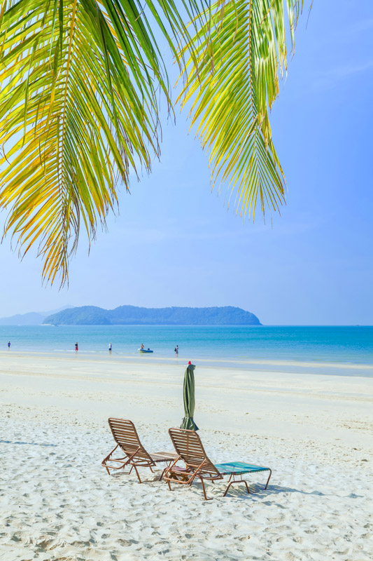 beach chairs under palm tree on langkawi beach